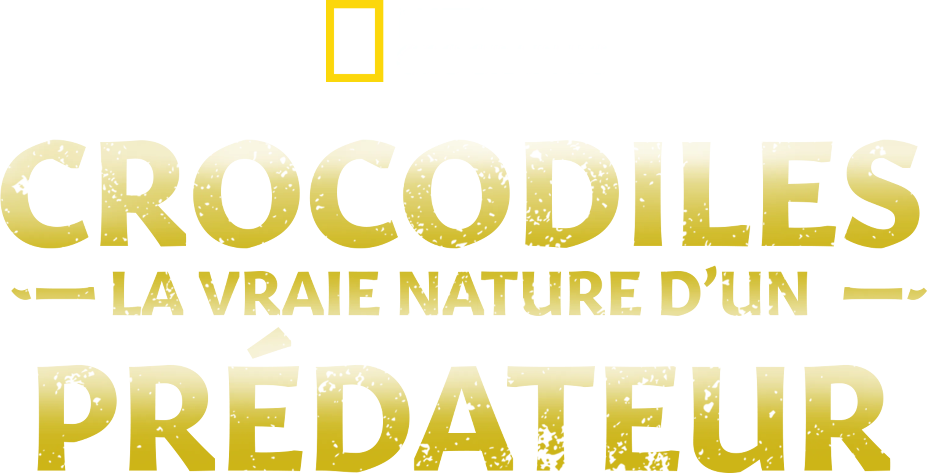 Crocodiles : la vraie nature d’un prédateur