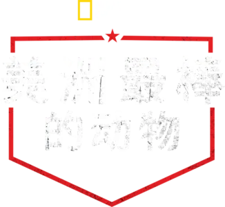 美洲最棒的动物