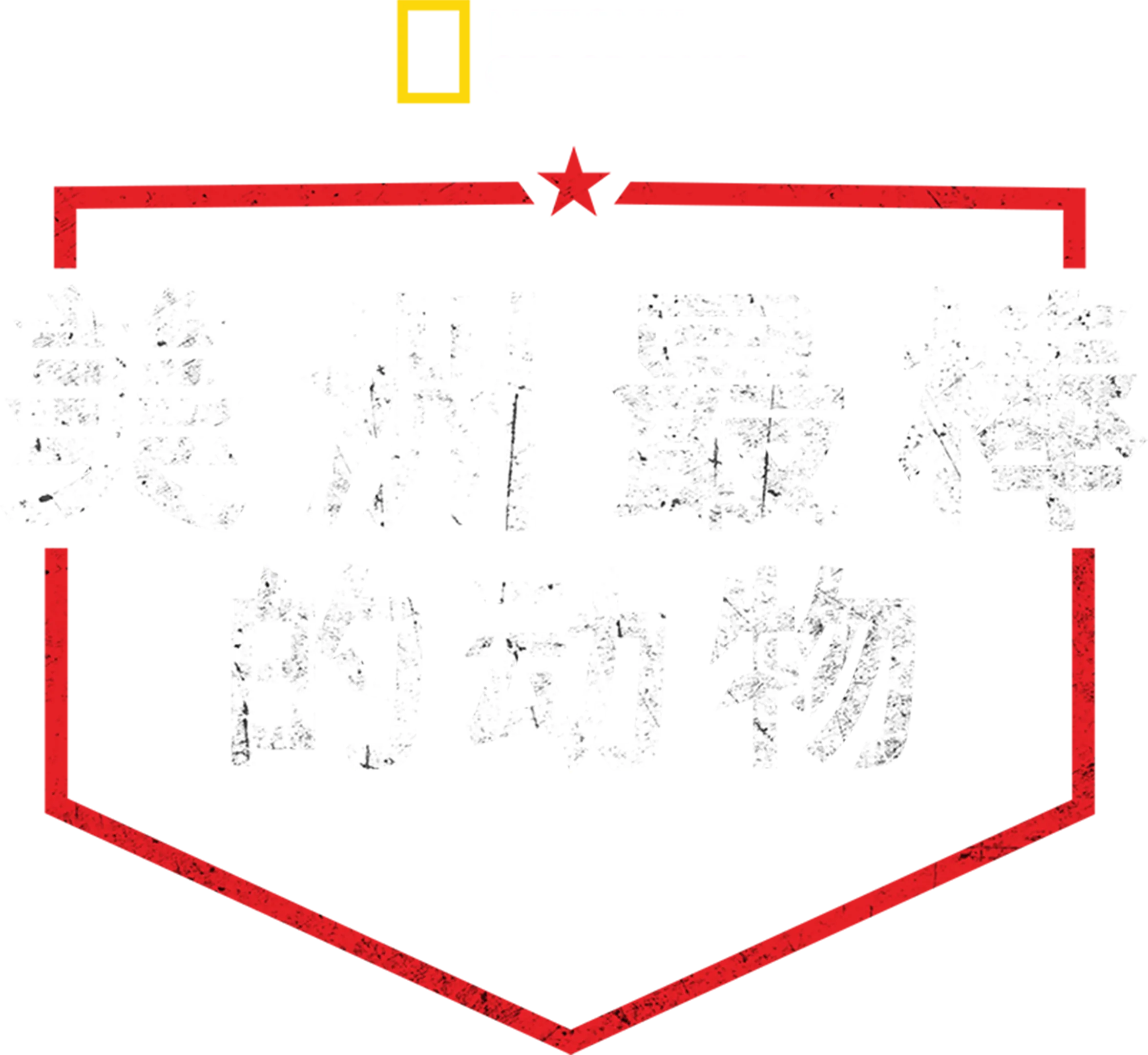 美洲最棒的动物