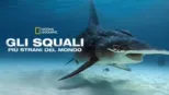 thumbnail - Gli squali più strani del mondo