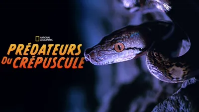 Prédateurs du crépuscule
