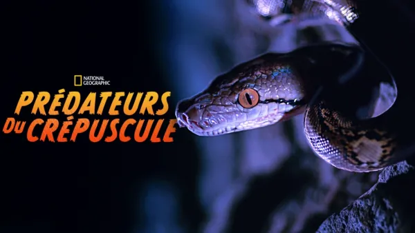 thumbnail - Prédateurs du crépuscule