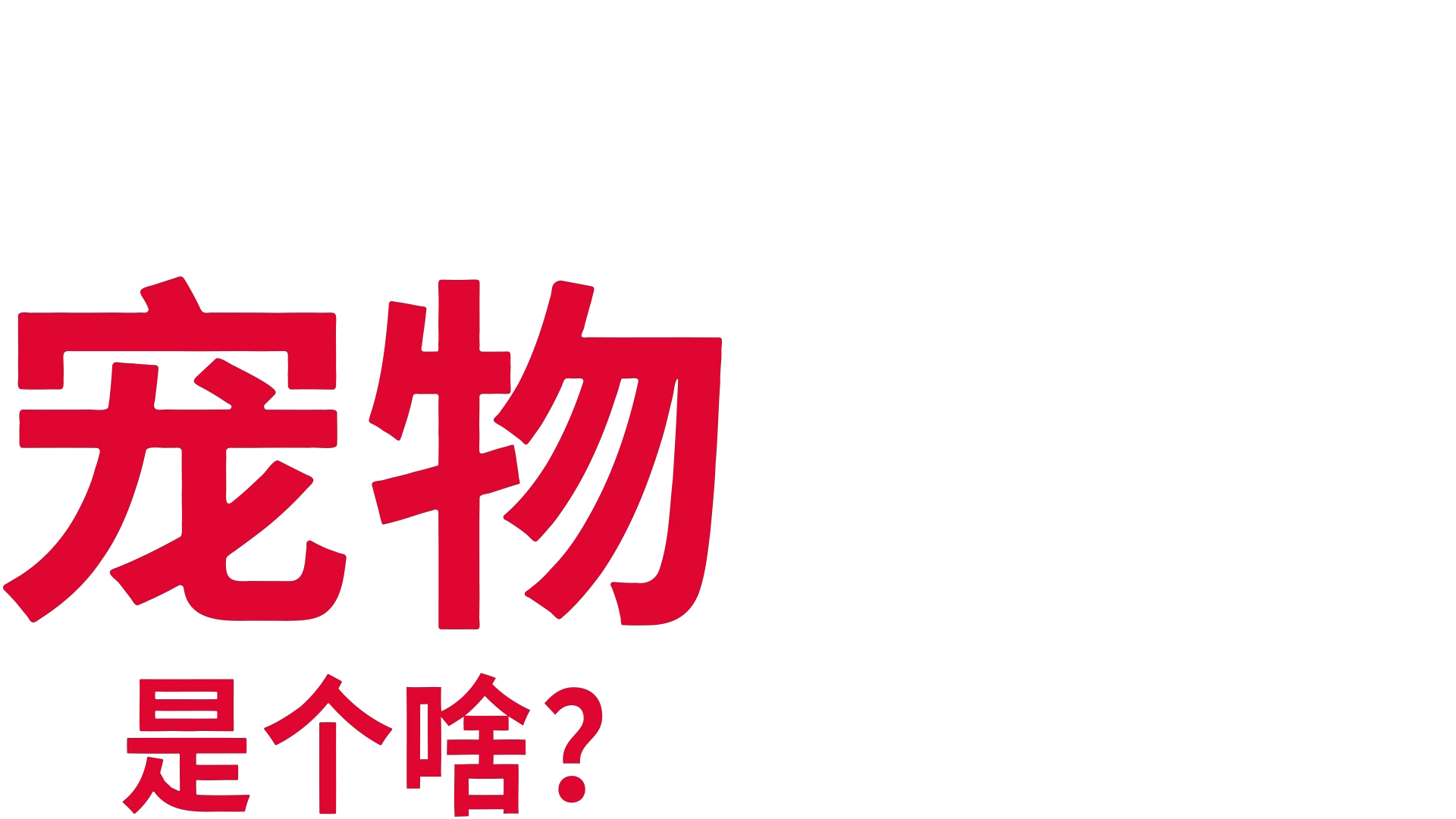 宠物是个啥？