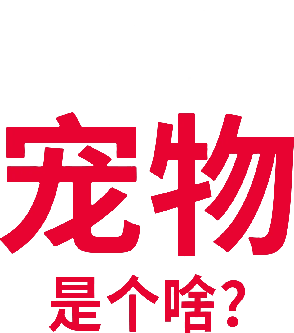 宠物是个啥？