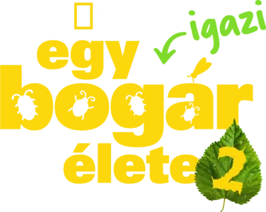 Egy igazi bogár élete