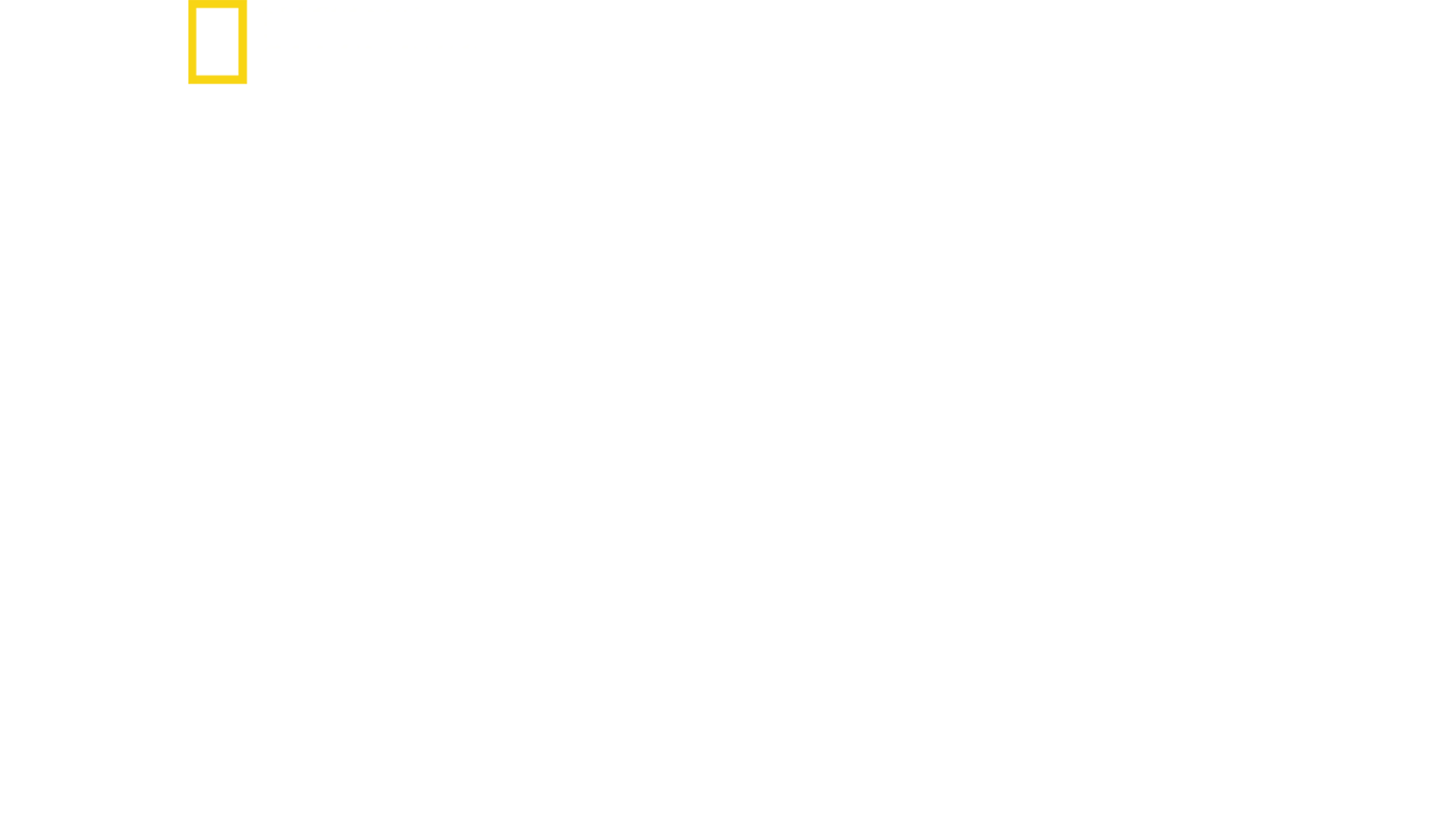 意境印度