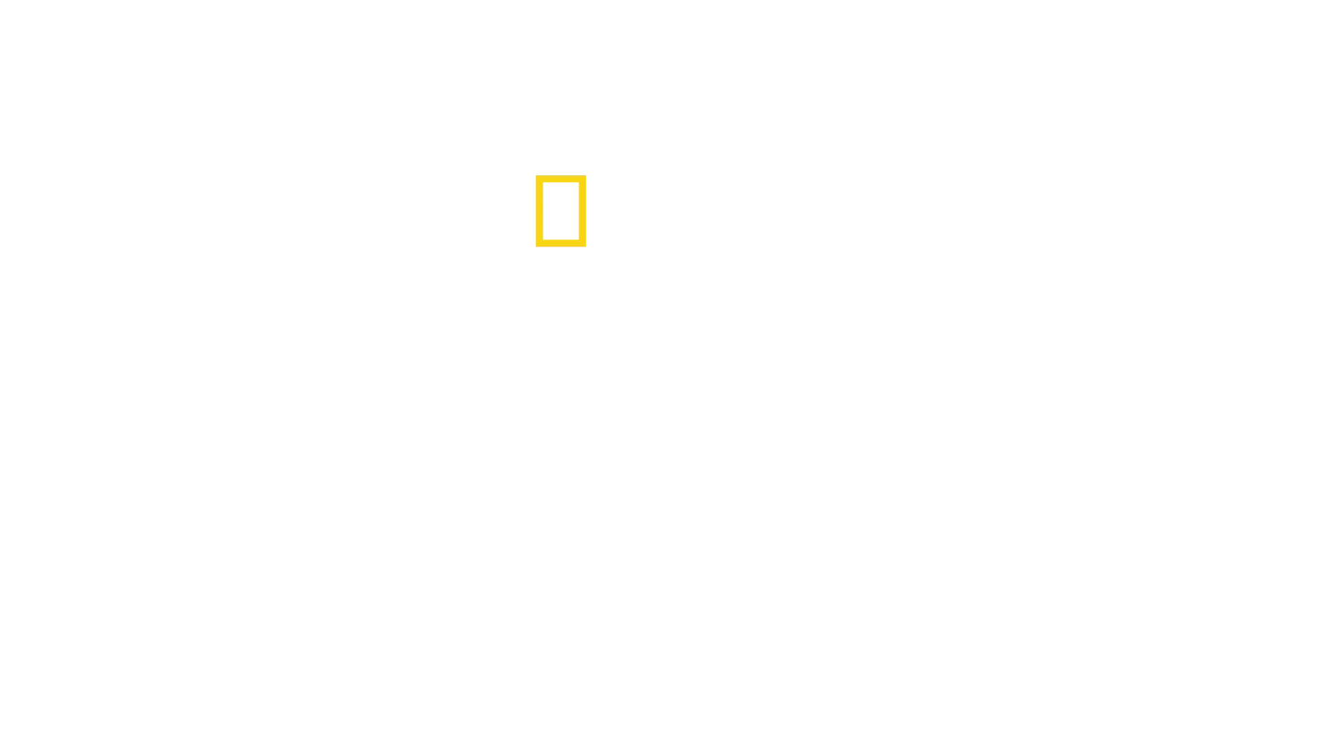 Oceano com David Attenborough