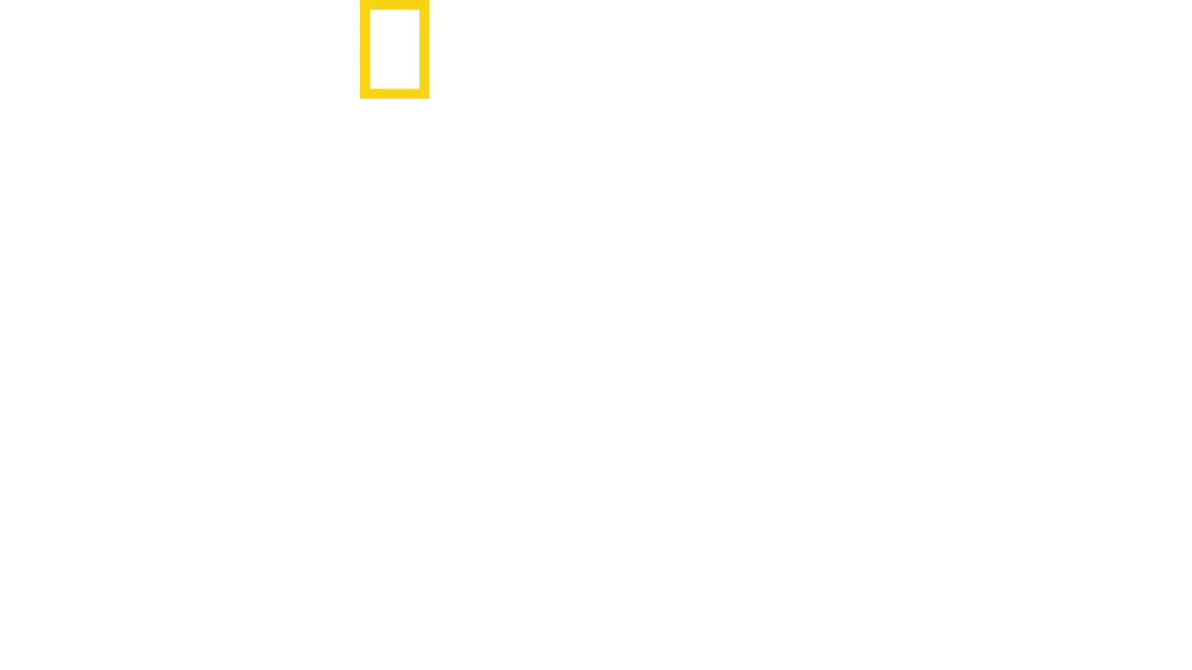 Wächter des Alten Ägypten