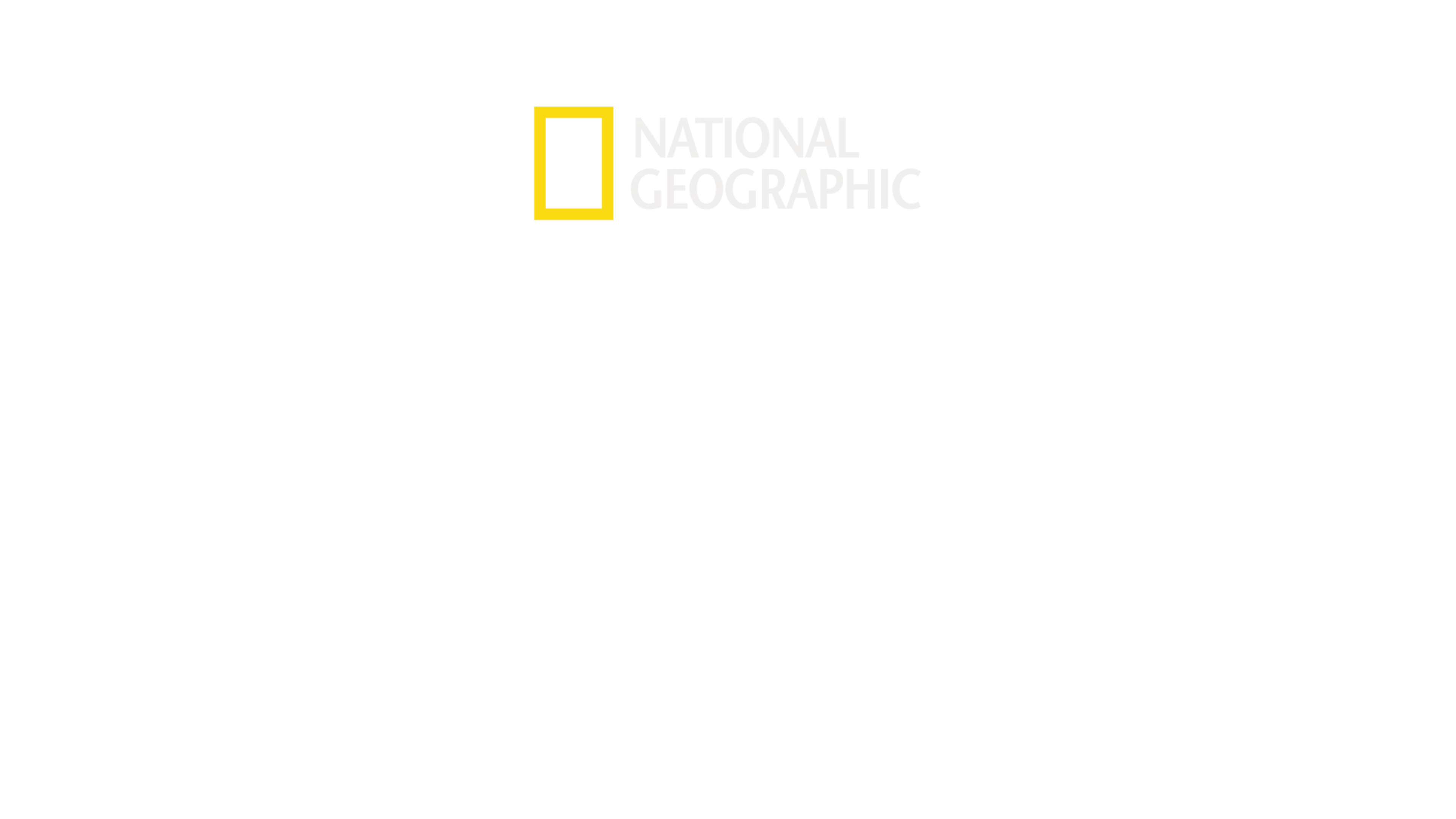 Veteriner Dostlar