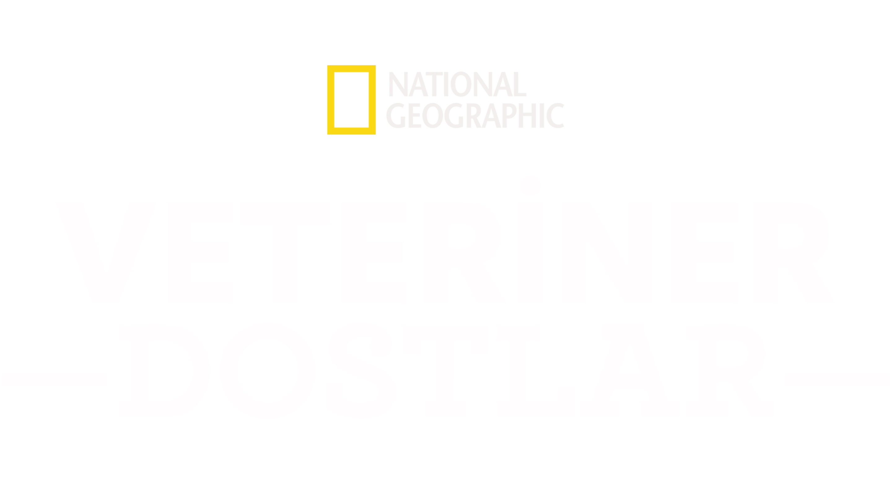 Veteriner Dostlar