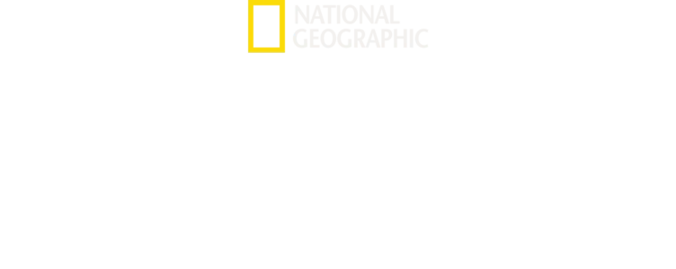 Veteriner Dostlar