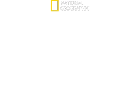 Zo života mláďat