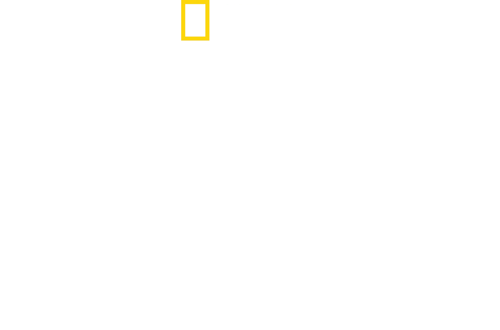 Zo života mláďat