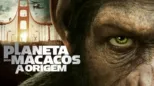 thumbnail - Planeta Dos Macacos: A Origem