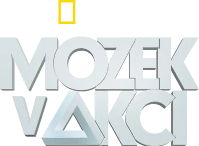 Mozek v akci