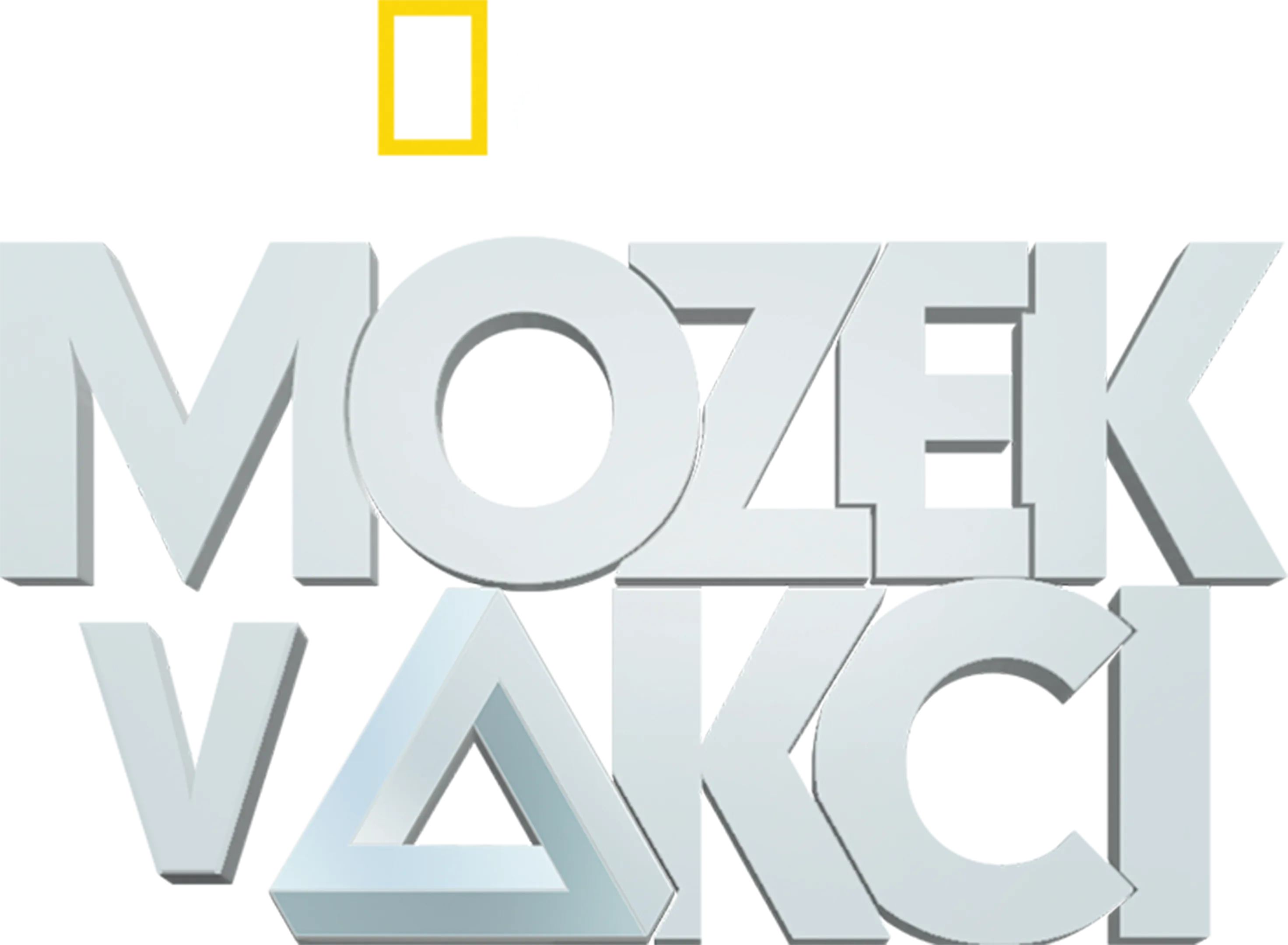 Mozek v akci
