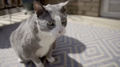 thumbnail - S1:E4 Ooey Gooey Bean Dip