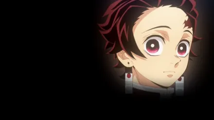 Demon Slayer: Kimetsu no Yaiba Hashira Training Arc