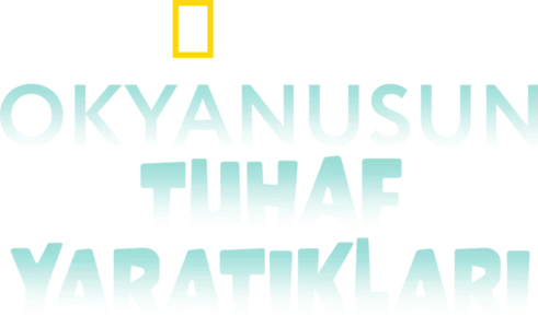 Okyanusun Tuhaf Yaratıkları