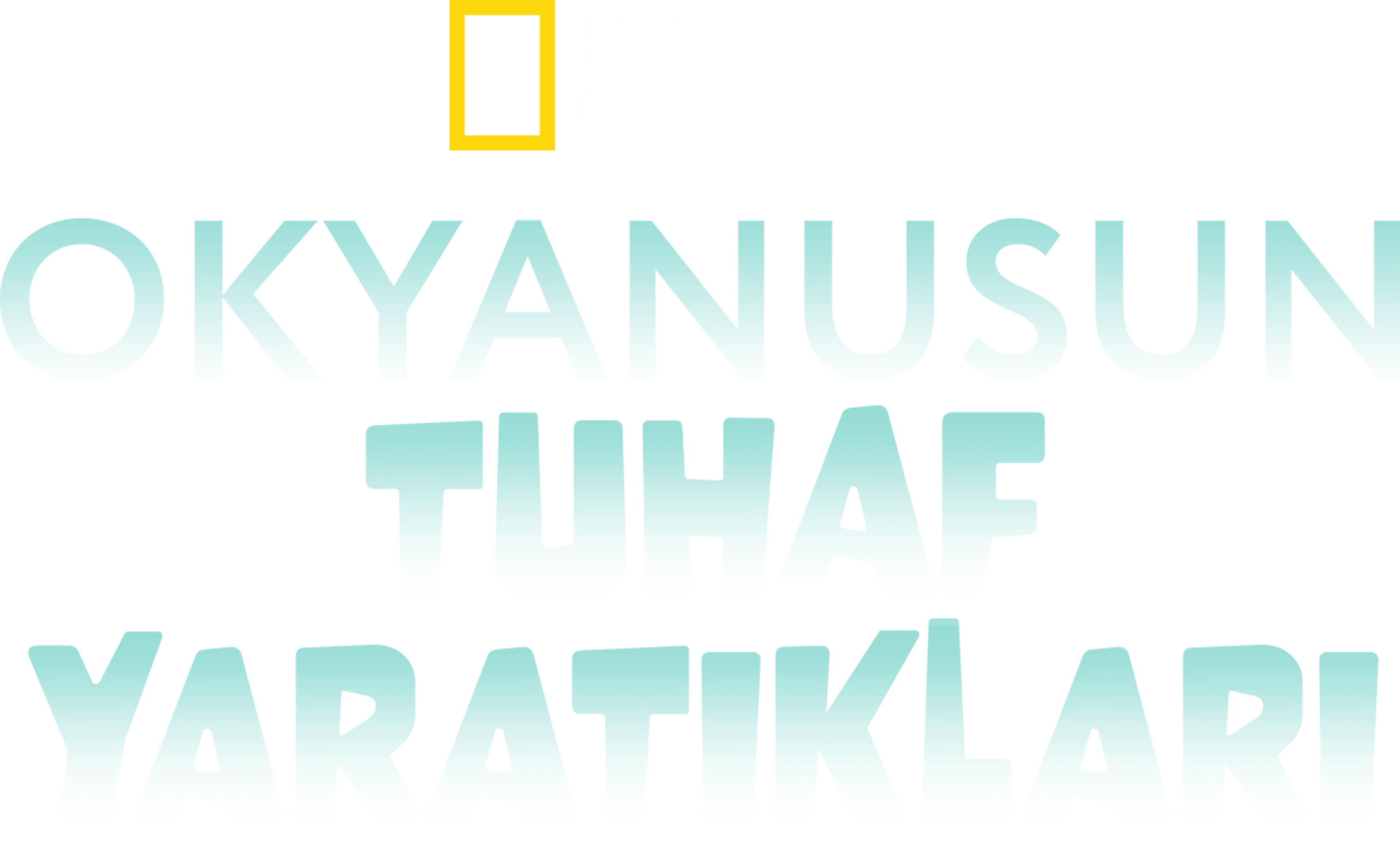 Okyanusun Tuhaf Yaratıkları