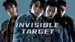 thumbnail - Invisible Target