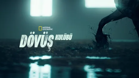 thumbnail - Dövüş Kulübü