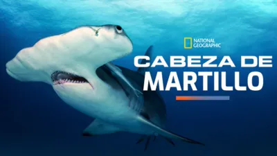 Cabeza de Martillo