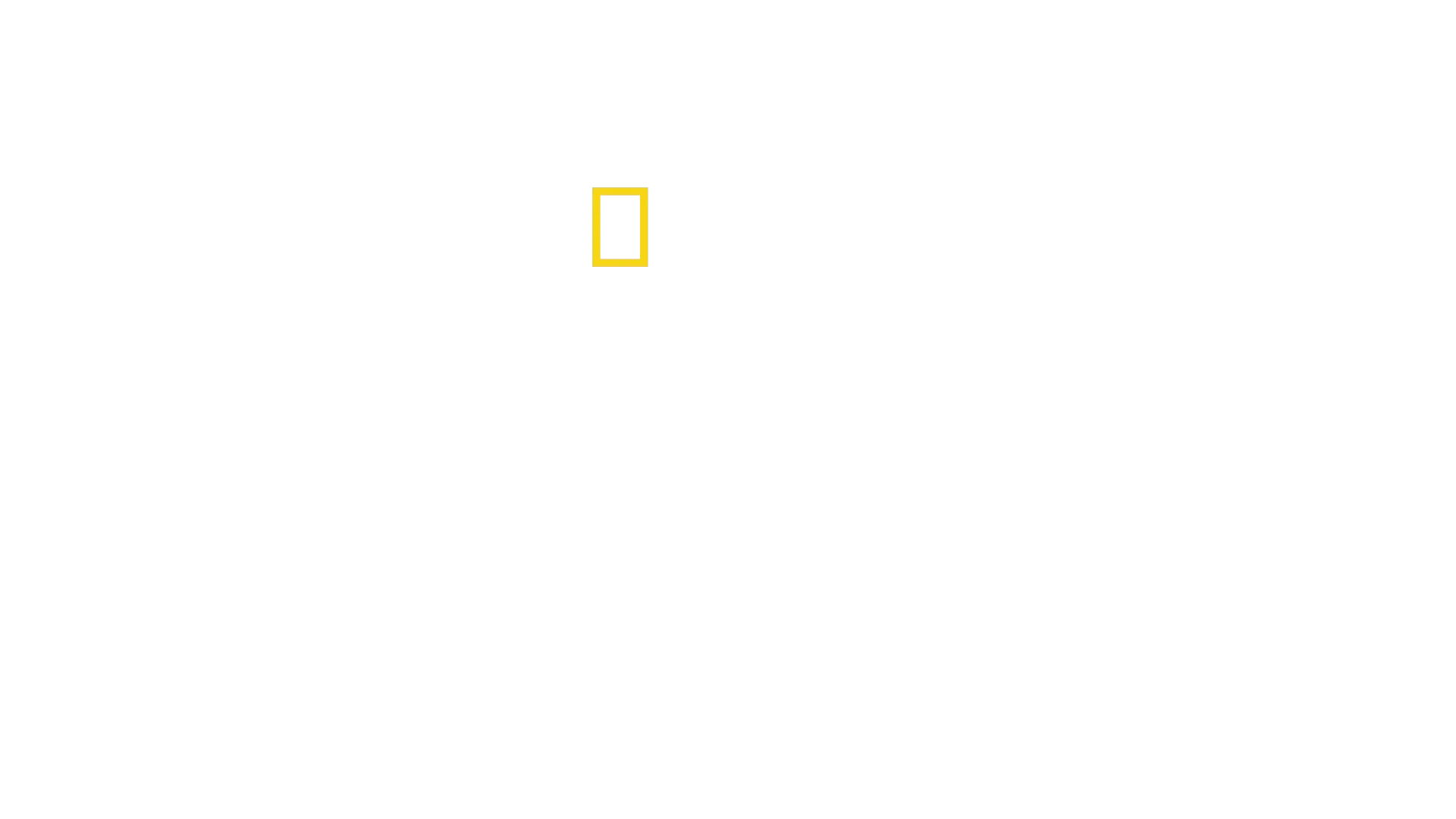 Tesoros perdidos de Egipto