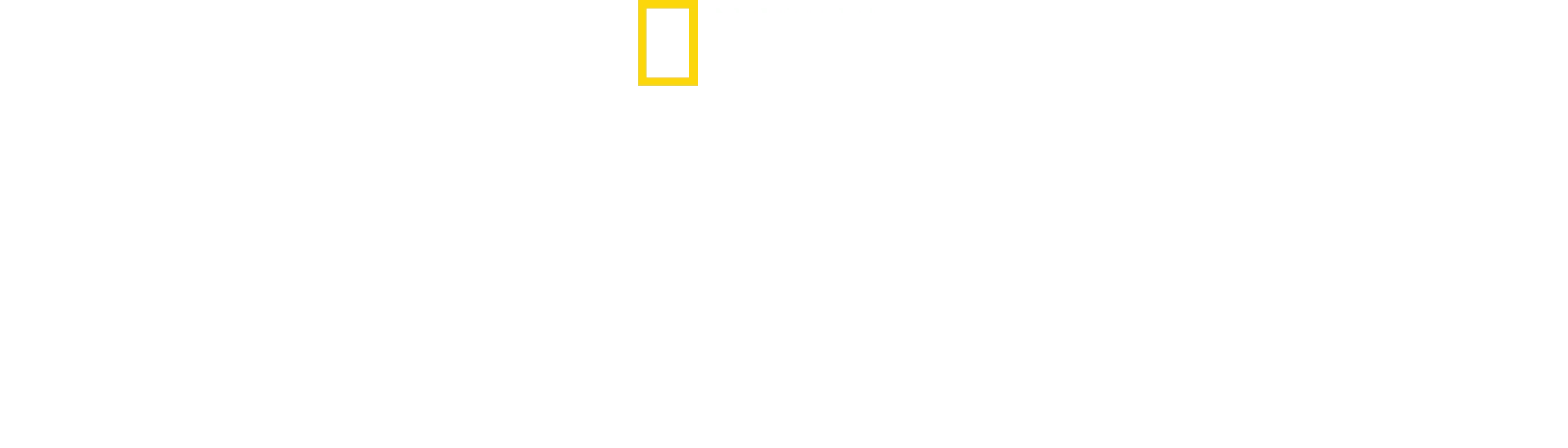 Tesoros perdidos de Egipto