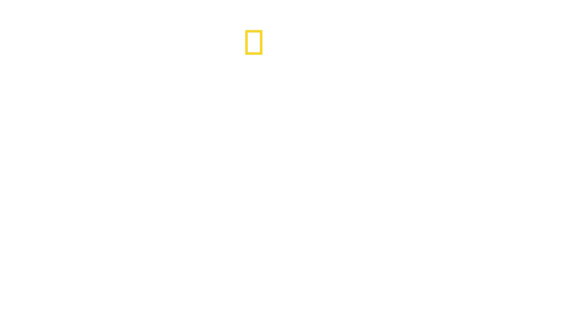 Stonehenge Decoded: Secrets Revealed