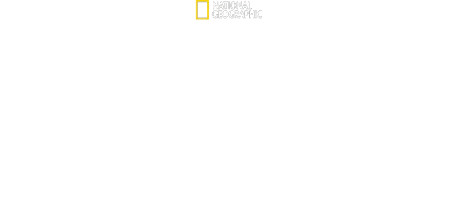 Stonehenge Decoded: Secrets Revealed