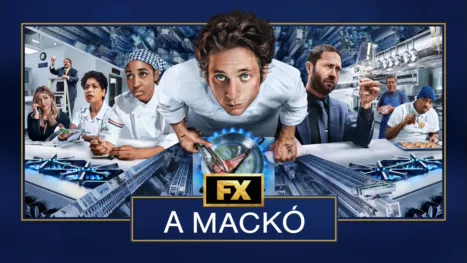 thumbnail - A mackó