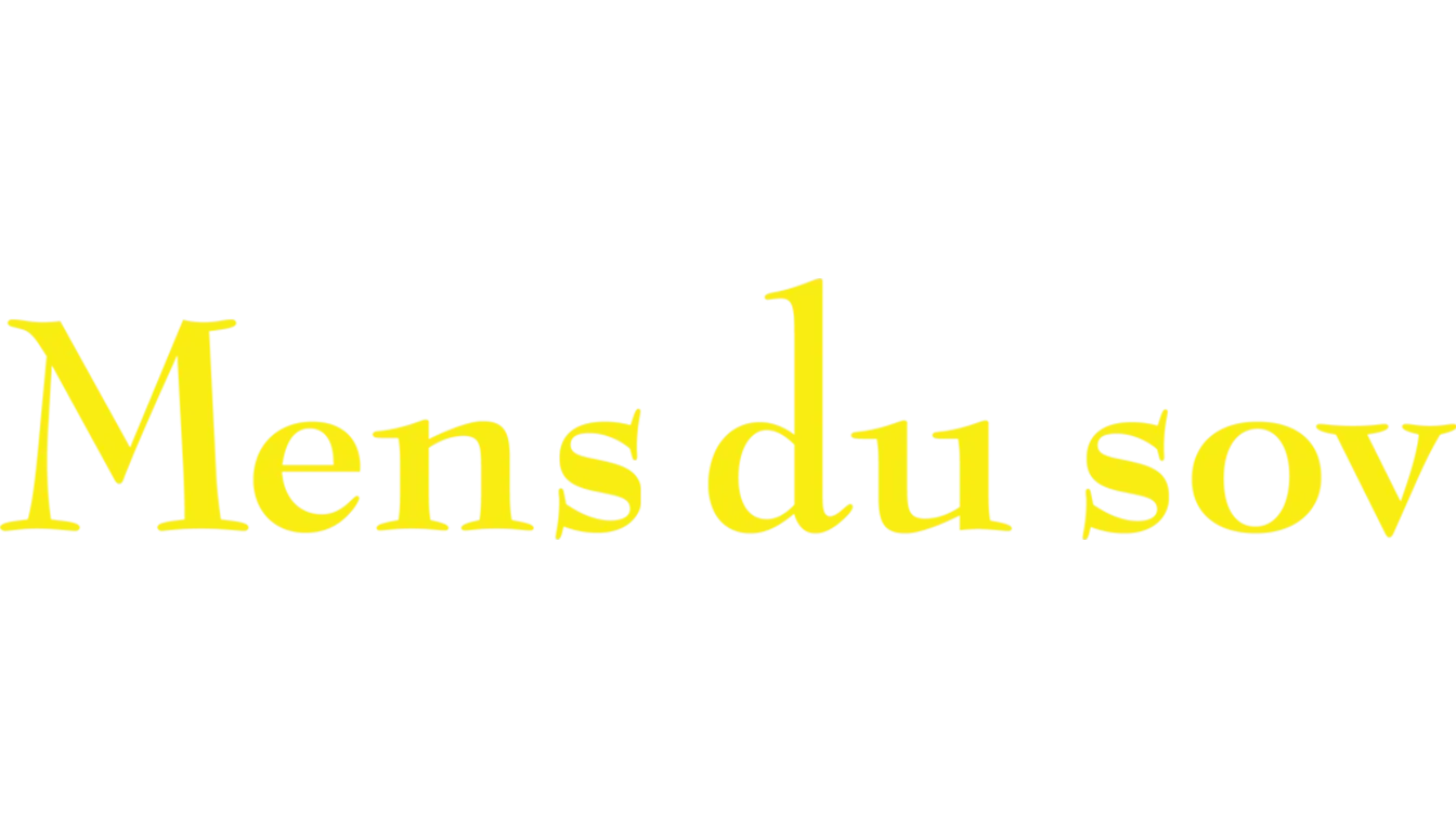 Mens du sov