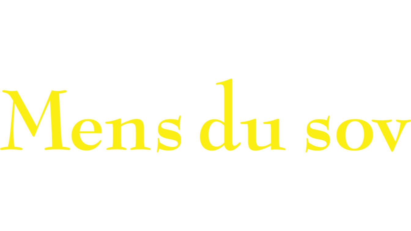 Mens du sov