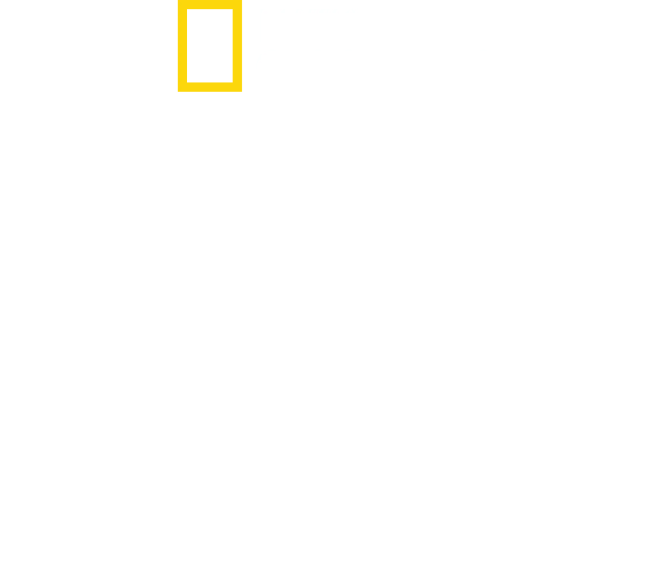 Paris'ten Pittsburgh'a