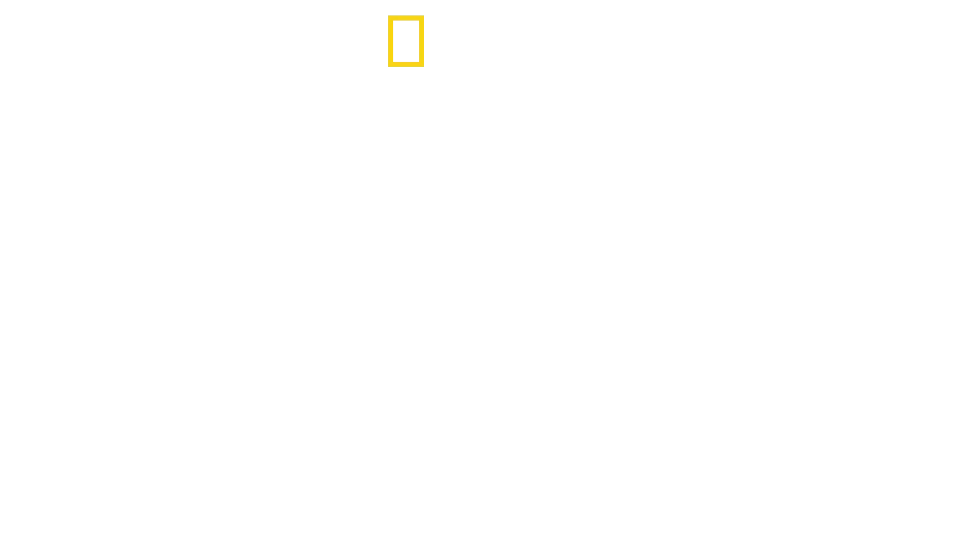 A Magia do Disney's Animal Kingdom