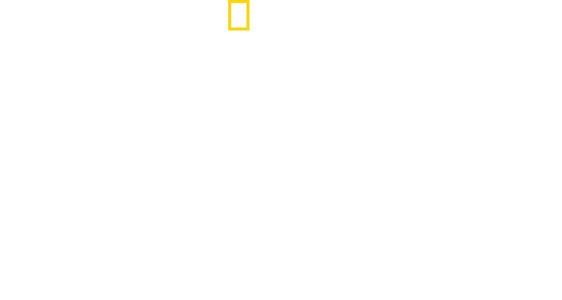 A Magia do Disney's Animal Kingdom