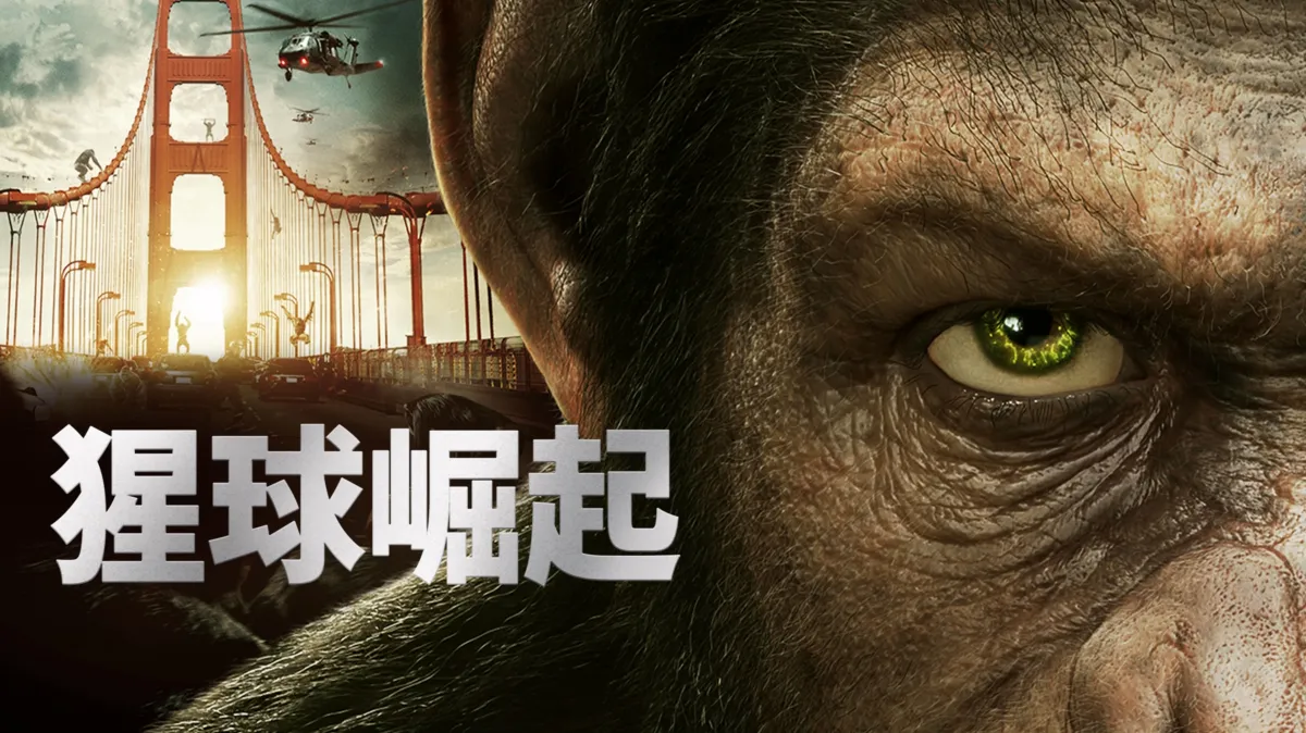 IMAX电影票代购2张不限影院不限电影-夜雨聆风, image size:1200x674