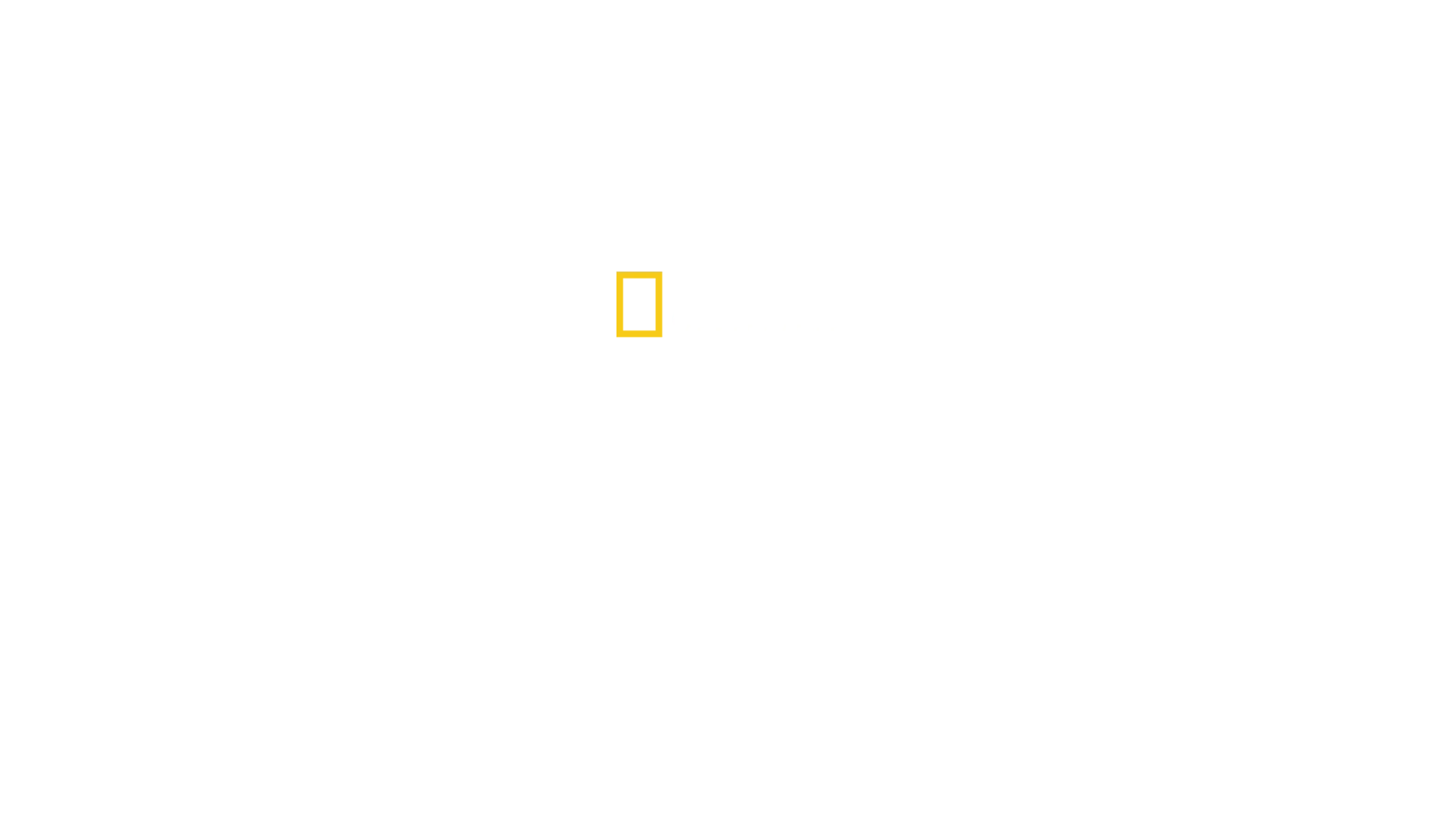 亞馬遜雨林保衛戰
