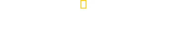 亞馬遜雨林保衛戰