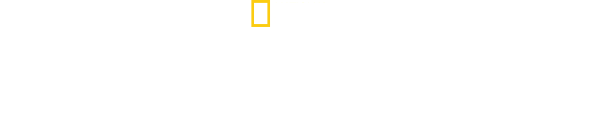 亞馬遜雨林保衛戰