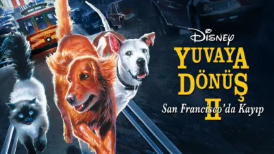 Yuvaya Dönüş II: San Francisco'da Kayıp