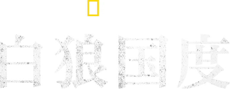 白狼国度