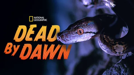 thumbnail - Dead By Dawn