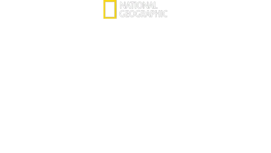 디즈니 애니멀 킹덤의 행복한 동물 세상