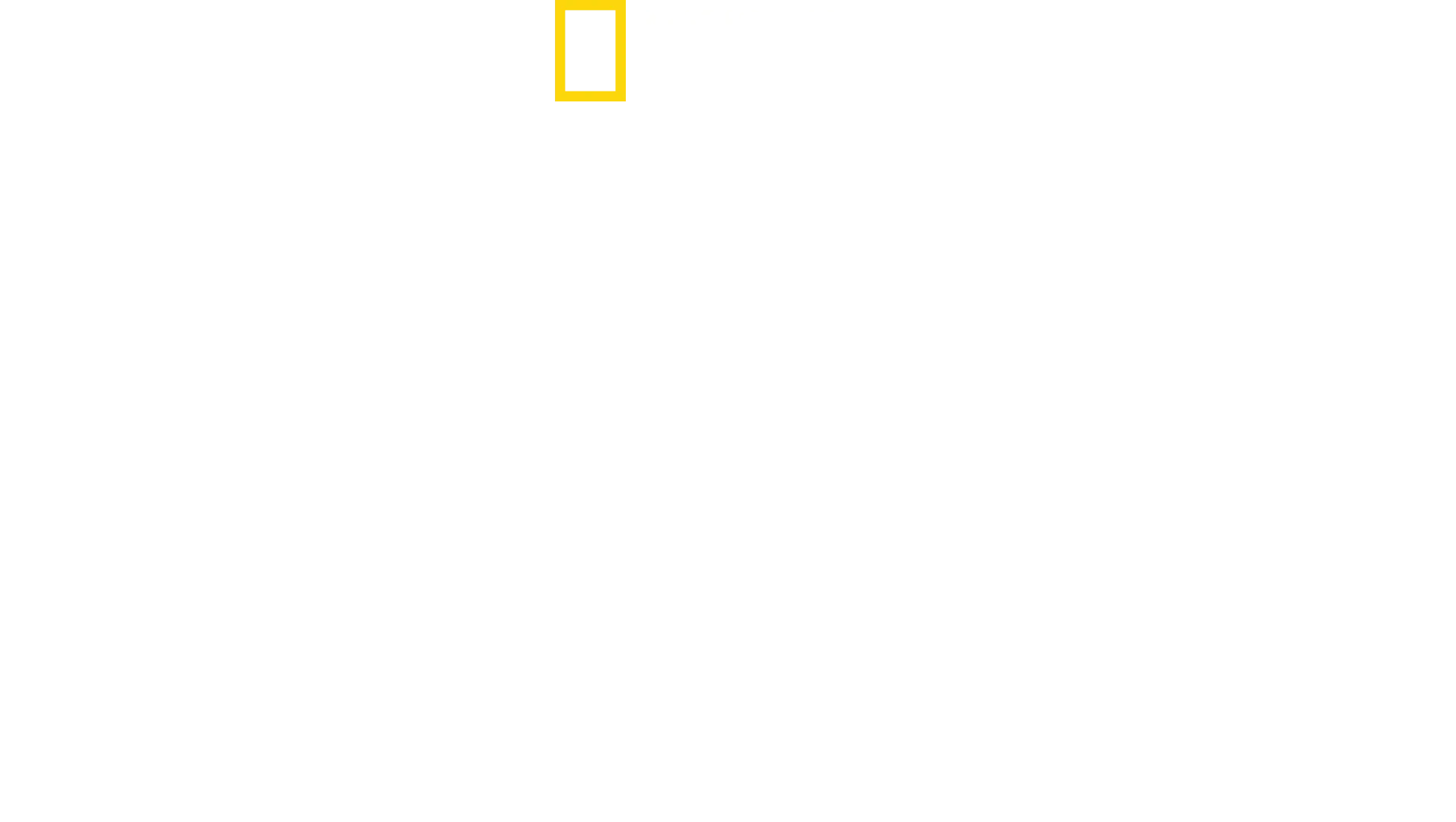 디즈니 애니멀 킹덤의 행복한 동물 세상