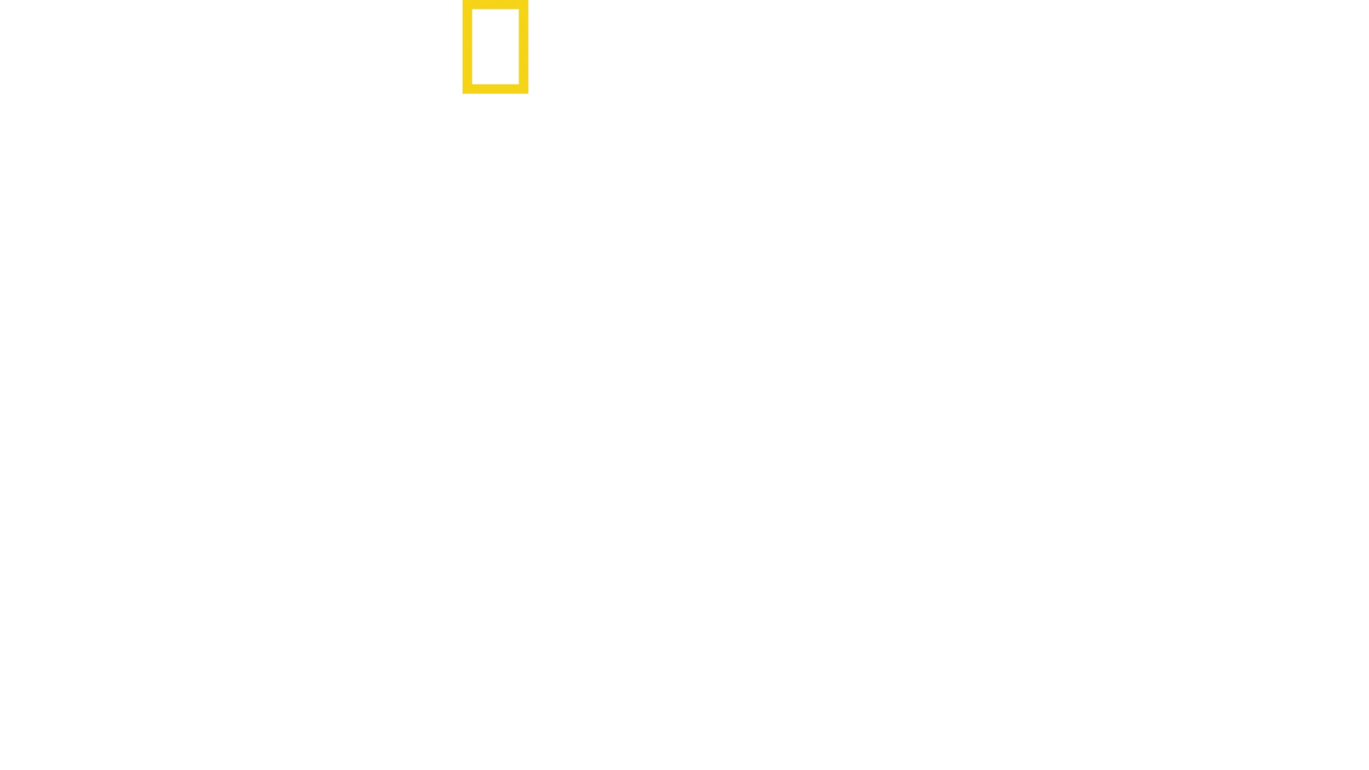 Ataque ao Pentágono