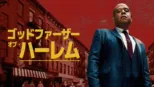 thumbnail - ゴッドファーザー・オブ・ハーレム