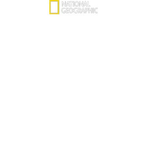 The New Air Force One: Flying Fortress