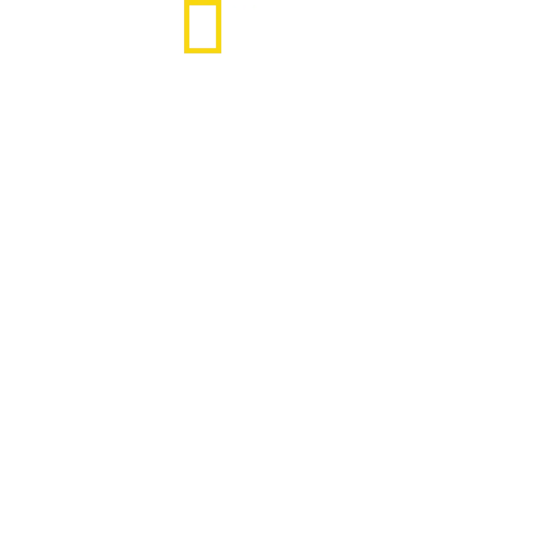 The New Air Force One: Flying Fortress
